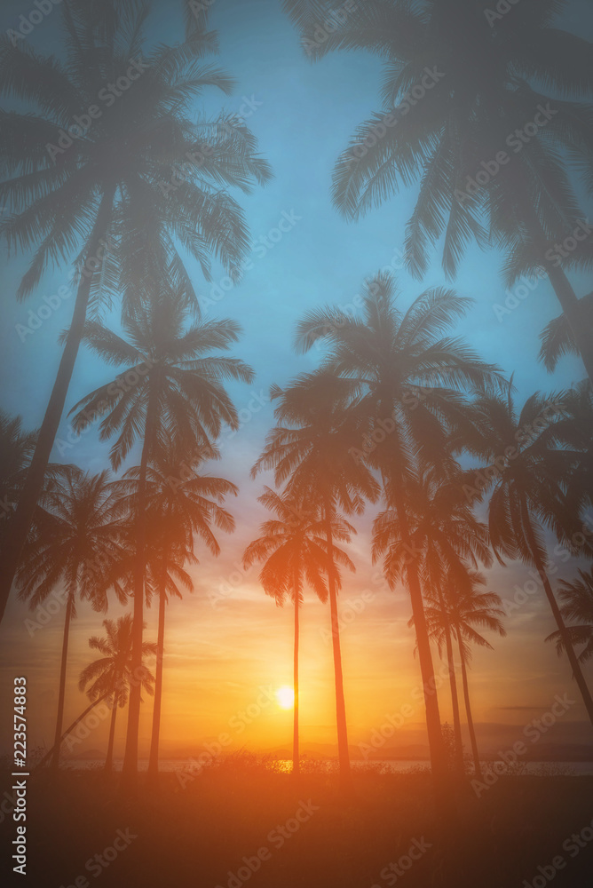 Silhouette coconut palm trees on beach at sunset. Vintage tone.