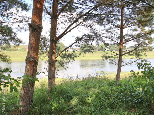view of the river through the trees © Andrey