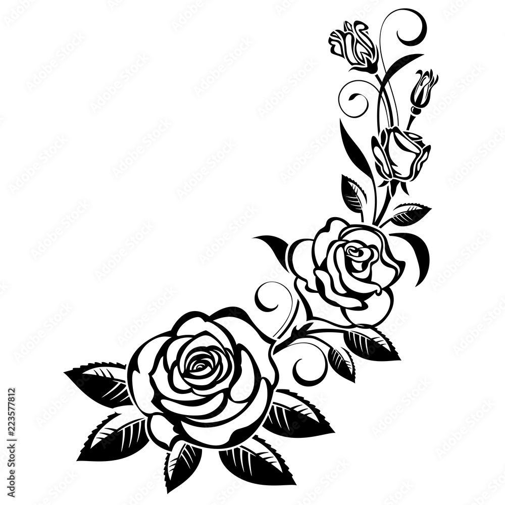 Branch of roses; Stock Vector | Adobe Stock