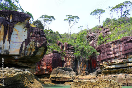 фотографія BAKO NATIONAL PARK, MALAYSIA