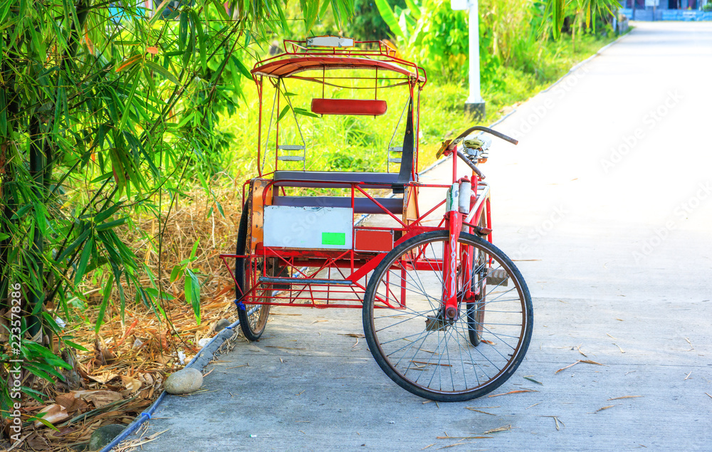 A pedicab best sale