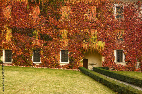 Red leaves at Abbey of Novacella, south tyrol, Bressanone, Italy. The Augustinian Canons Regular Monastery of Neustift was founded by Bishop of Brixen, the Blessed Hartmann in 1142.