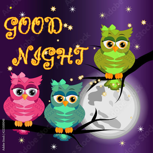 Good night card with moon and cute owl