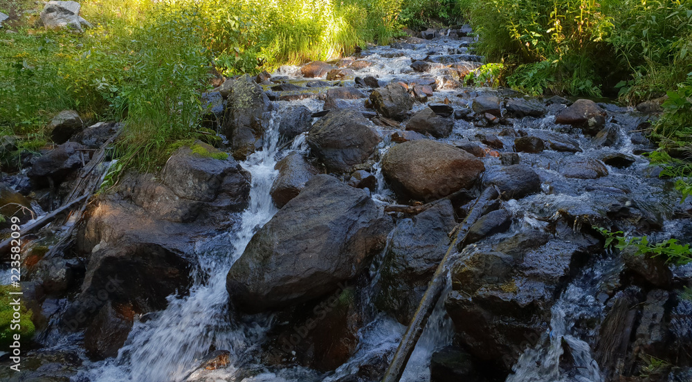 Waterfall in a Forest Waterfall in a Forest