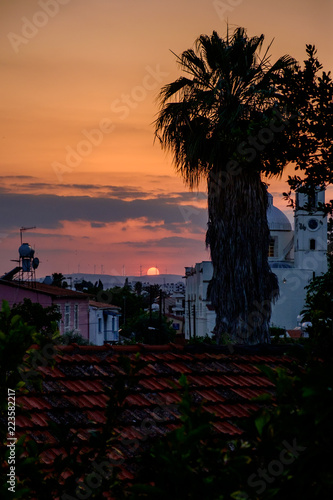 Palm and the roof top in the sunset over the Larnaca Cyprus