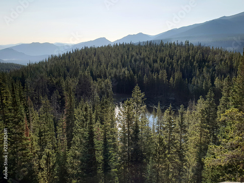 Lake in the Trees