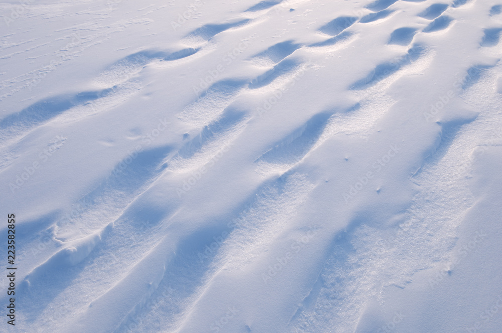Snowshoe tracks on powder snow. Snowshoe tracks on powder snow.