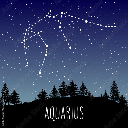 Aquarius Zodiac sign constellation over the night forest