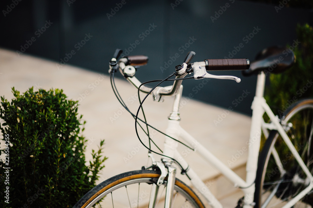 Bicycle handlebar close up, Female retro bicycle on the park. Bicycle handlebar close up, Female retro bicycle on the park.