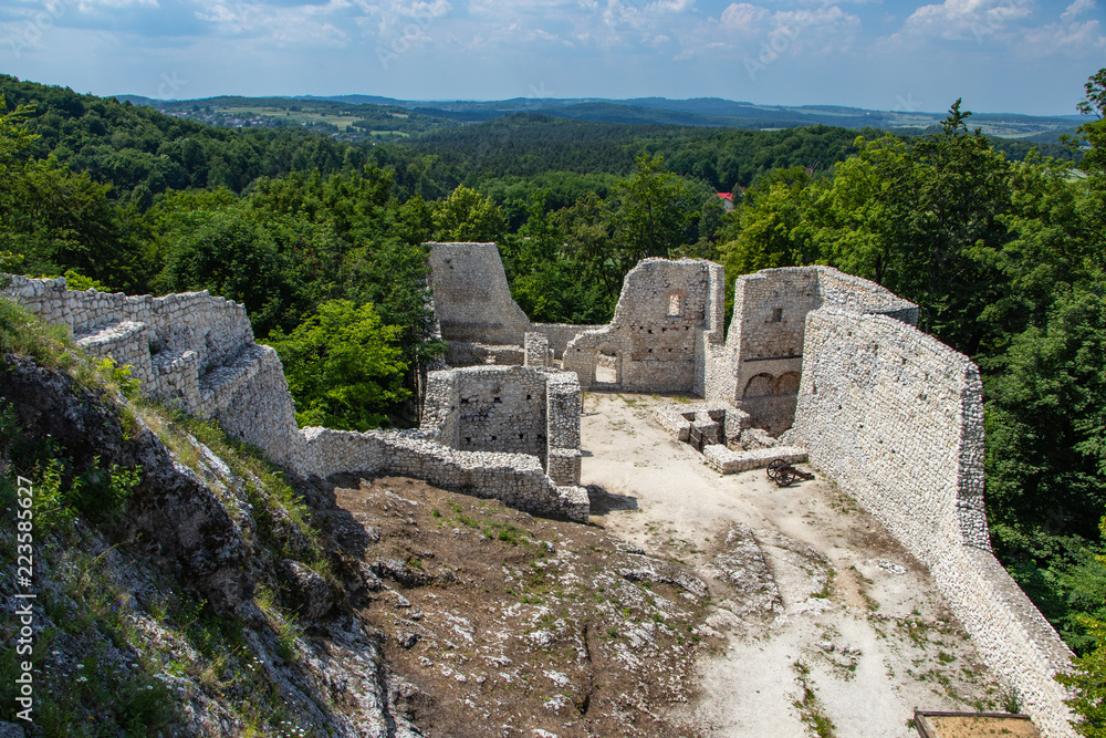 ruins of the castle in Smoleń