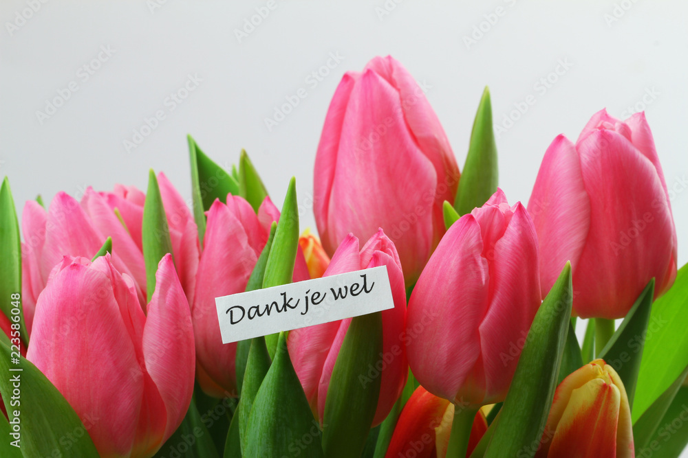 Thank You In Dutch