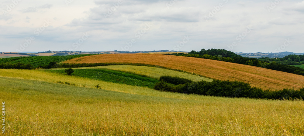 stork on arable fields in eastern Poland
