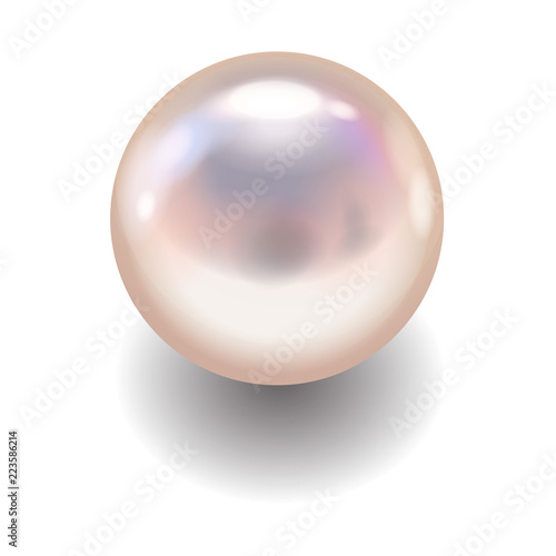 Realistic pearl with drop shadow. vector design object isolated on white background.