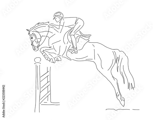 A Biomechanical Theory on How a Horse Jumps Part 2 - Masterson Method