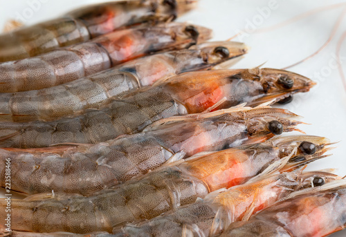 Close-up of fresh, raw and whole prawns. On white background.