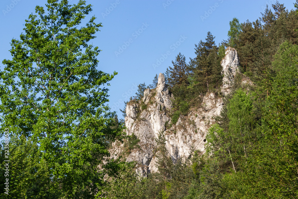 rocks in the Kobylańska valley in the Kraków-Częstochowa Upland