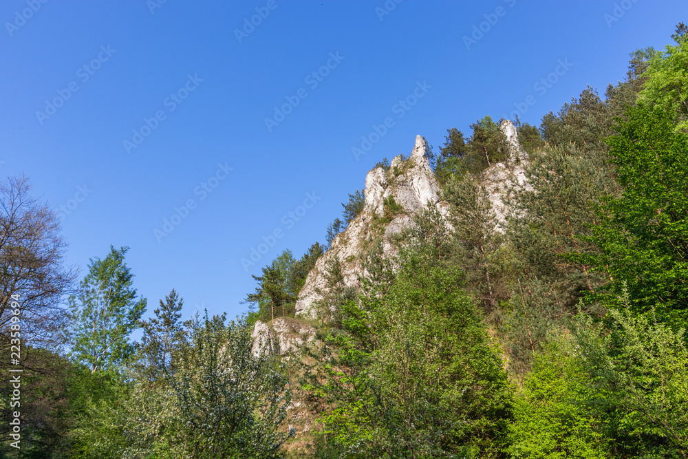 rocks in the Kobylańska valley in the Kraków-Częstochowa Upland rocks in the Kobylańska valley in the Kraków-Częstochowa Upland