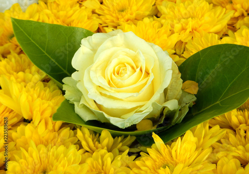 Yellow flower ornament, yellow rose and chrisantheme photo