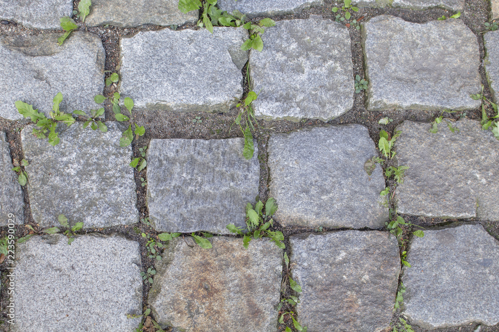 background, cobblestone road cover close-up background, cobblestone road cover close-up