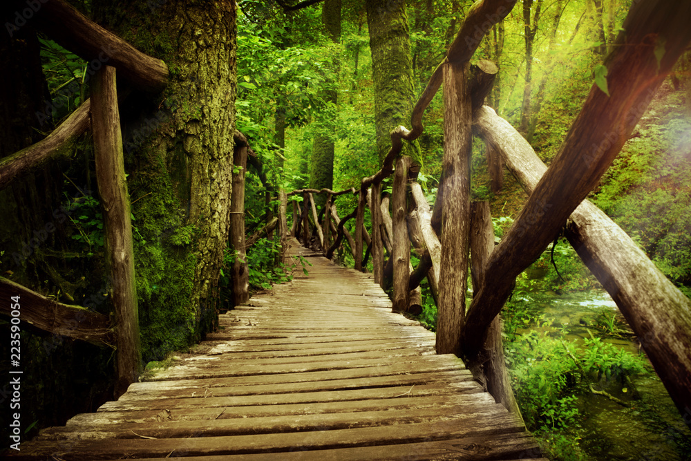mysterious bridge in the forest mysterious bridge in the forest