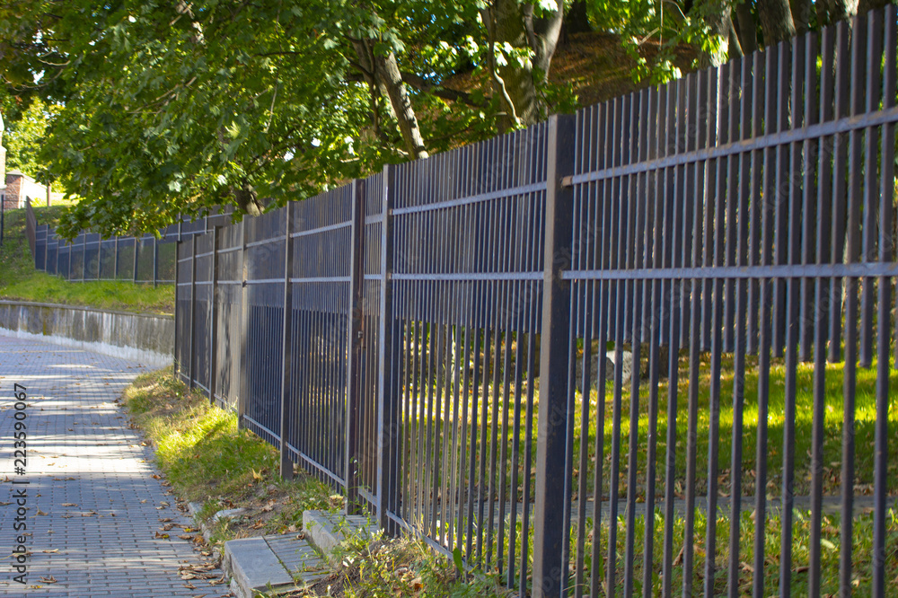 background, gray fence in the background of green trees background, gray fence in the background of green trees