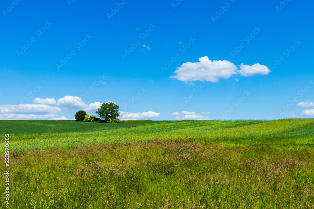 idyllic view, south of Poland