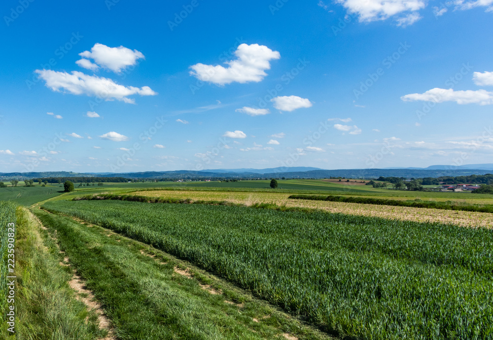 arable fields, south of Poland