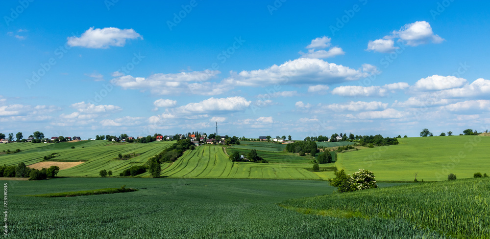 Naklejka premium arable fields, south of Poland