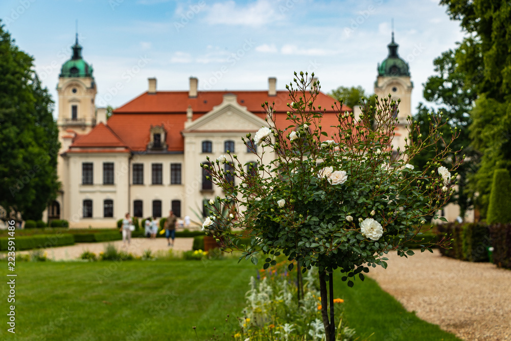 white roses against the background of the palace in Kozlowka white roses against the background of the palace in Kozlowka
