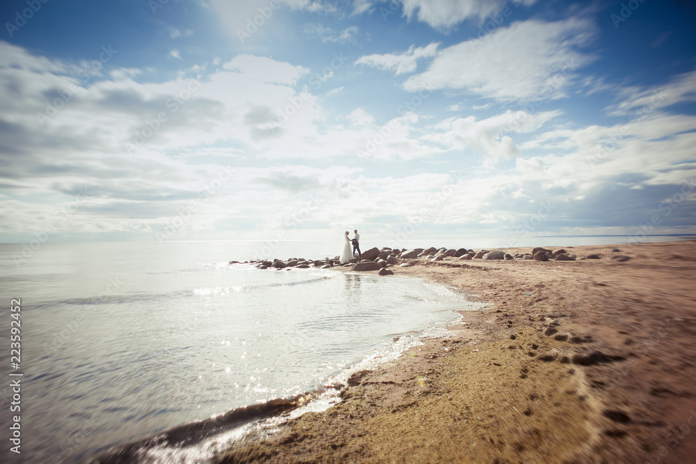 Fototapeta premium Figures of the bride and groom surrounded by a sea landscape