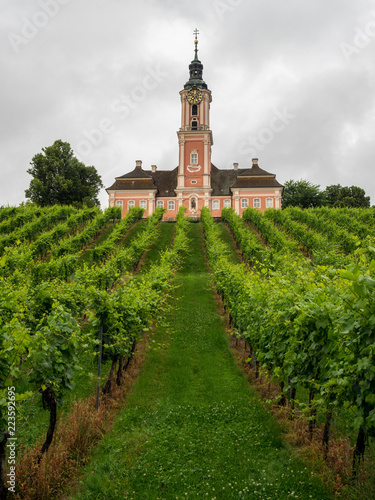 Rosafarbene Kirche in den grünen Weinbergen am Bodensee