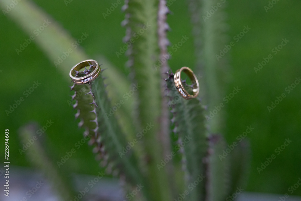 Naklejka premium anillo boda