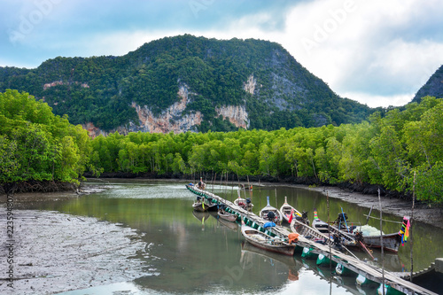 fisherman's long tail boats parking at the jetty in mangrove forest beach with mountain and cloudy sky background, Phang-nga, Thailand