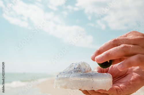 A man holds a jellyfish and seaweed photo