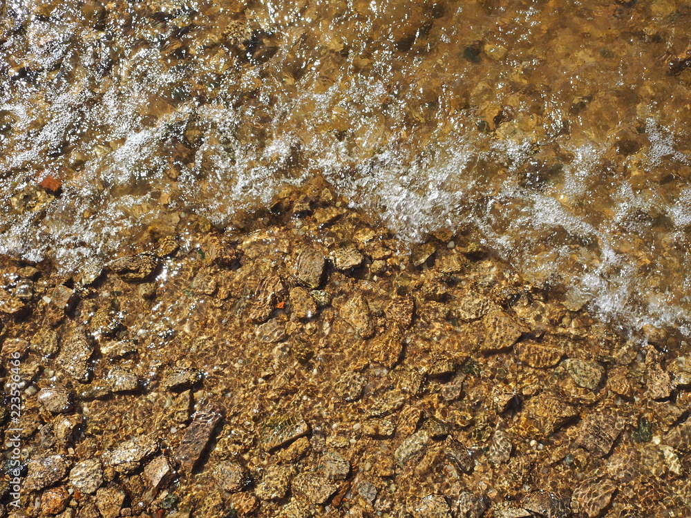 stony bottom of the river stony bottom of the river