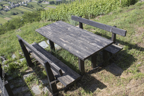 Wooden table in a park near a vineyard