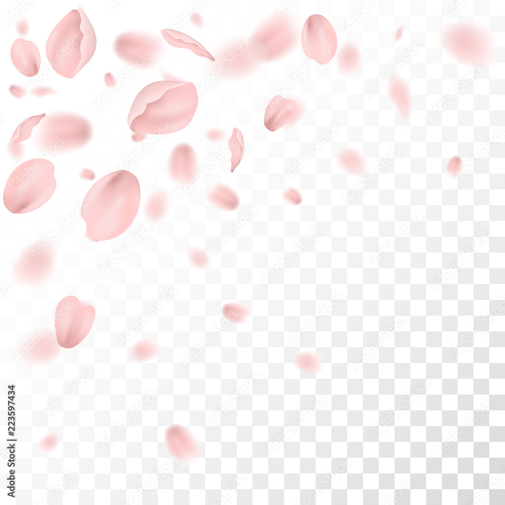 card with beautiful pink plum petals on checkered background, vector, illustration card with beautiful pink plum petals on checkered background, vector, illustration