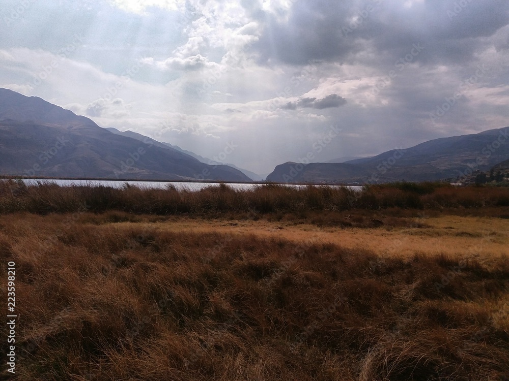 Obraz premium Yellow meadow with nearby lagoon, mountains at medium distance, sky with white clouds and black background, in the vicinity of the city of Cusco, Peru.