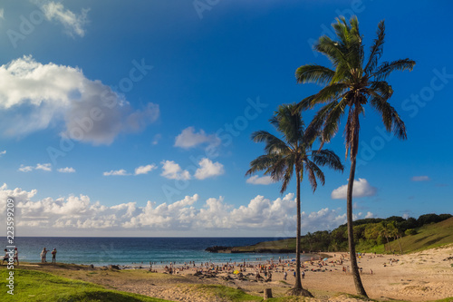 Palms at Anakena beach in Easter Island in Chile. The only tourist beach in the island