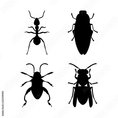 Insect and ant silhouttes clipart photo