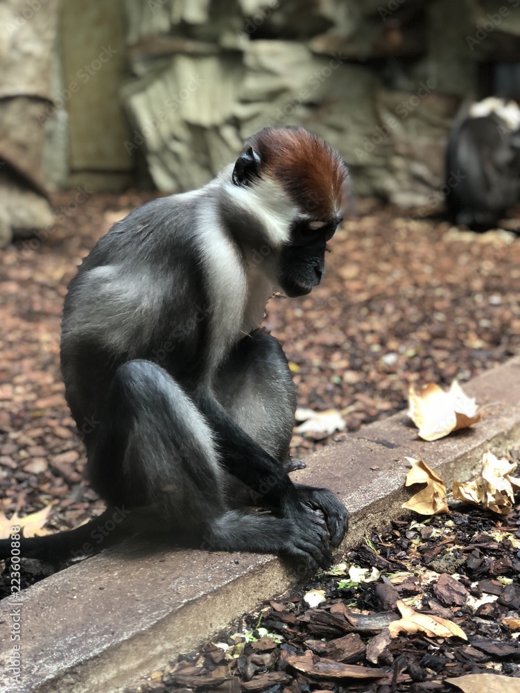 Obraz premium Looking inside