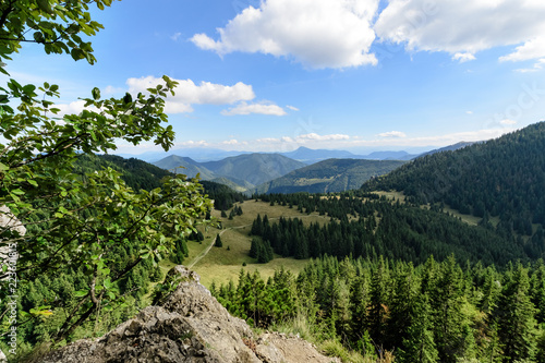 The forest near Little Rozsutec hill in the national park Mala Fatra