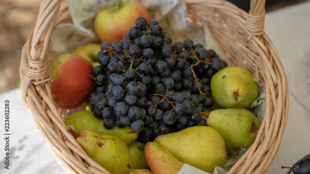 Basket of fresh organic fruits in the garden Basket of fresh organic fruits in the garden