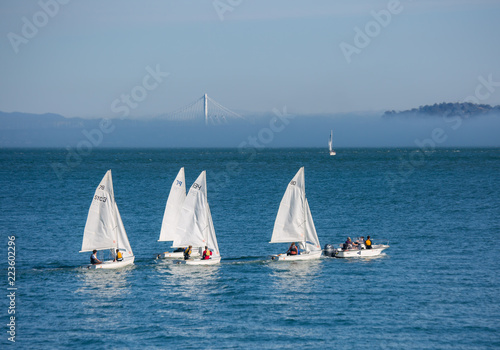 Sailing on the Bay / 4 white sailboats on the blue waters of San Francisco Bay and background fog. 