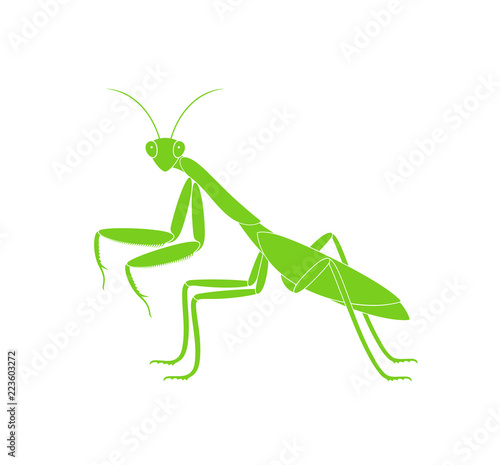 Mantis logo. Isolated mantis on white background