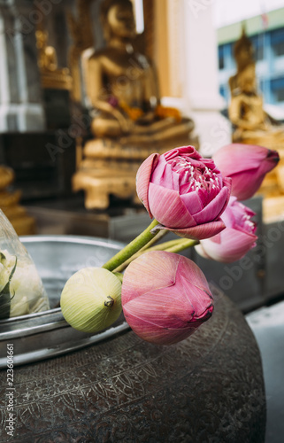 Close-up of flowers in container against Buddha statue in temple photo