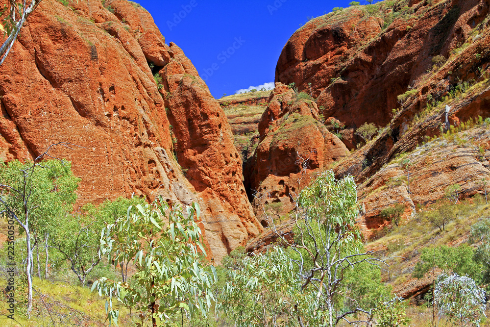 Fototapeta premium Bungle Bungles (Purnululu) - Purnululu National Park