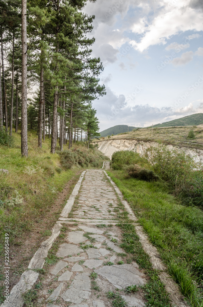 Obraz premium Stone path on a mountain