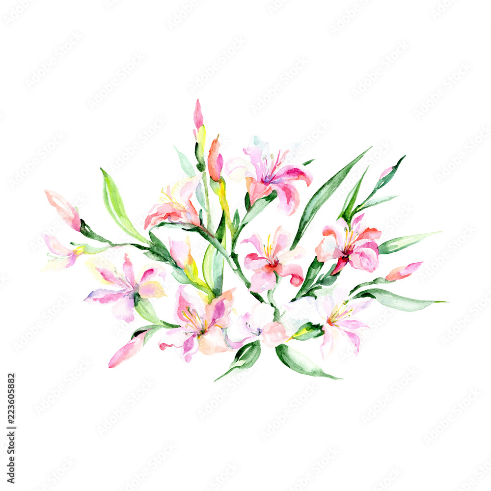 Watercolor colorful bouquet alstroemeria flower. Floral botanical flower. Isolated illustration element. Aquarelle wildflower for background, texture, wrapper pattern, frame or border.