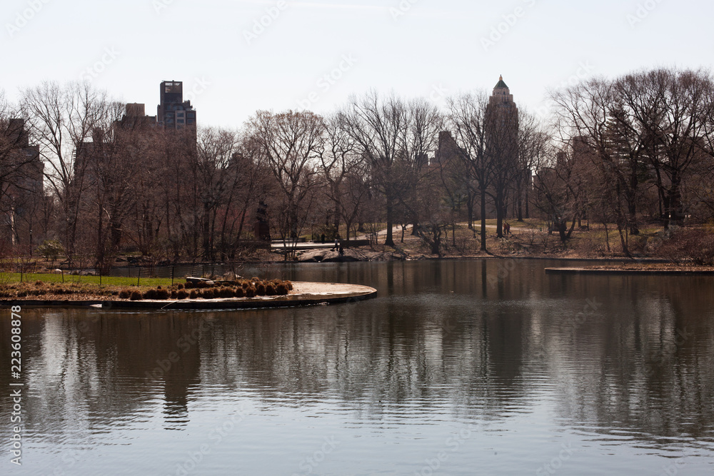 Fototapeta premium Central Park